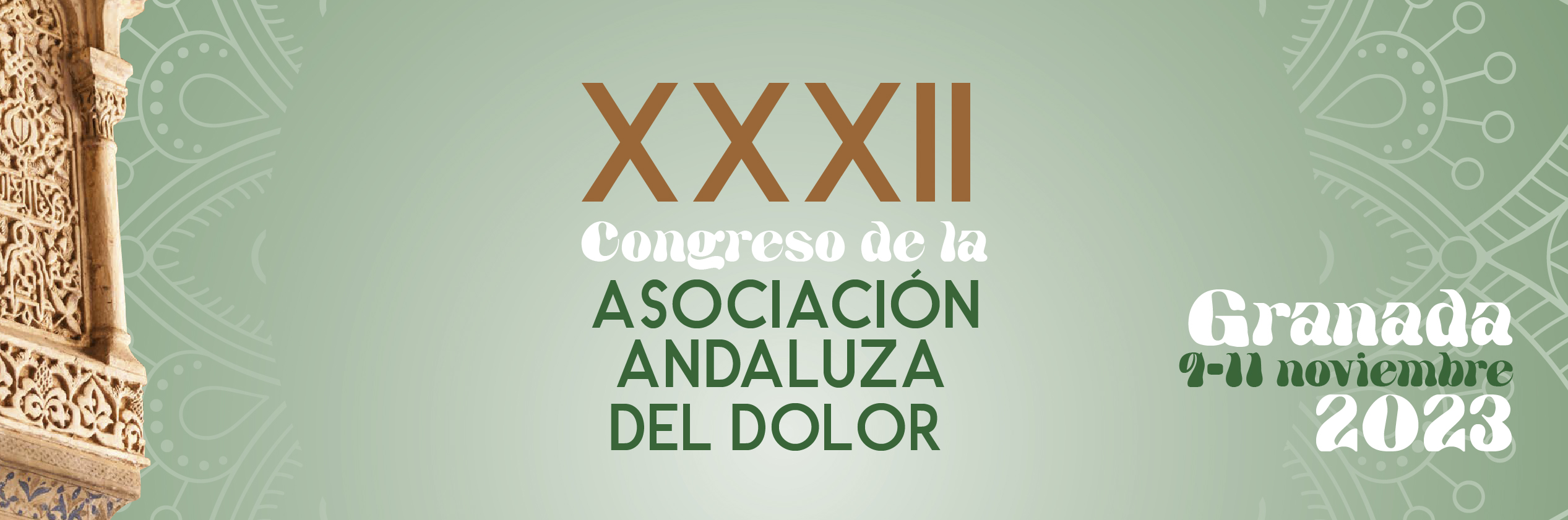 Congresodolorgranada Asociación Andaluza Del Dolor 1078